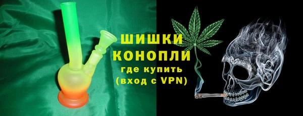 стаф Нея