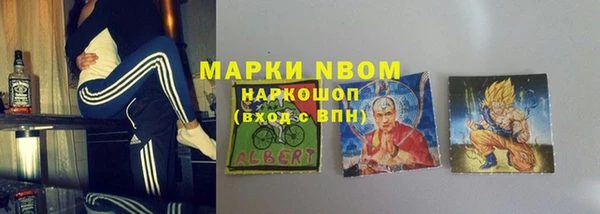 стаф Нея
