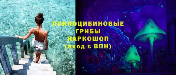 ГАЛЛЮЦИНОГЕННЫЕ ГРИБЫ Нефтегорск